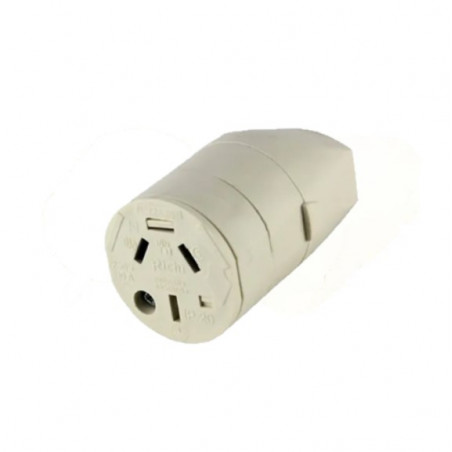 Ficha richi hembra 10a marfil