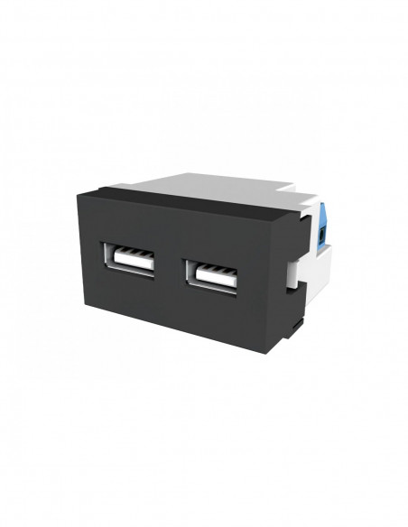 MODULO VERONA USB DOBLE GRIS 2A